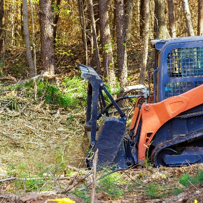 Forestry Mulching