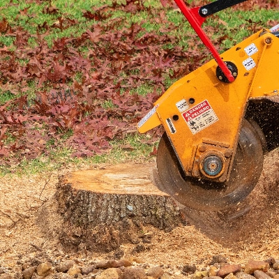 Stump Grinding